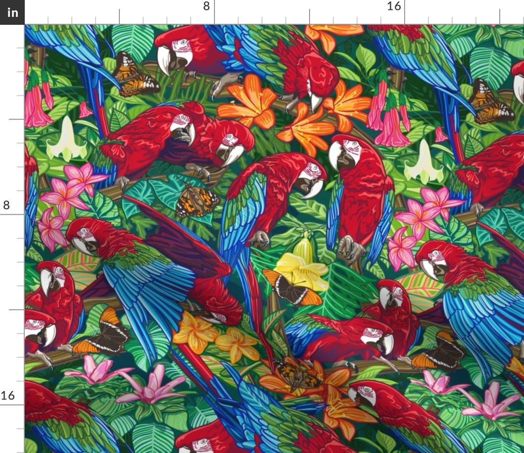 Scarlet Macaw Tropical Medium