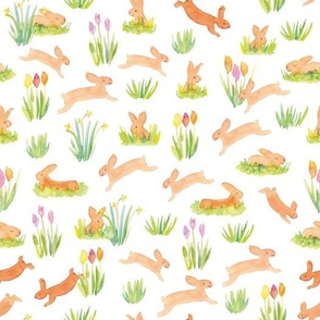 Jumping bunnies sping pattern, small size