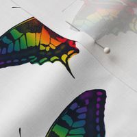 Philadelphia Rainbow Pride Flag Swallowtail Butterfly