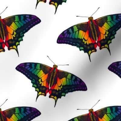 Philadelphia Rainbow Pride Flag Swallowtail Butterfly