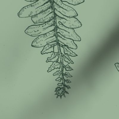 Green Ferns Stamped Print