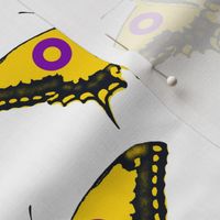 Intersex Pride Flag Swallowtail Butterfly