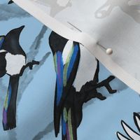 Magpie Counting