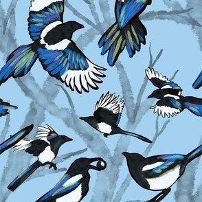 Magpie Counting