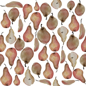 red pears on white / watercolor
