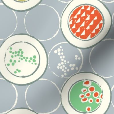 Pretty Petri Dishes - Slate - Large