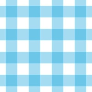 blue checkered baby boy classic