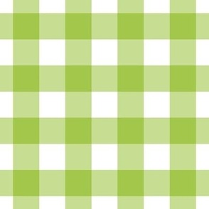 Gingham green checkered baby neutral genter classic