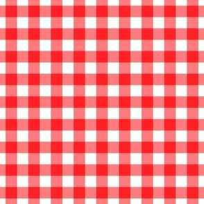 Red classic gingham_scale large