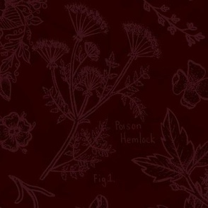 victorian floral poison - ruby
