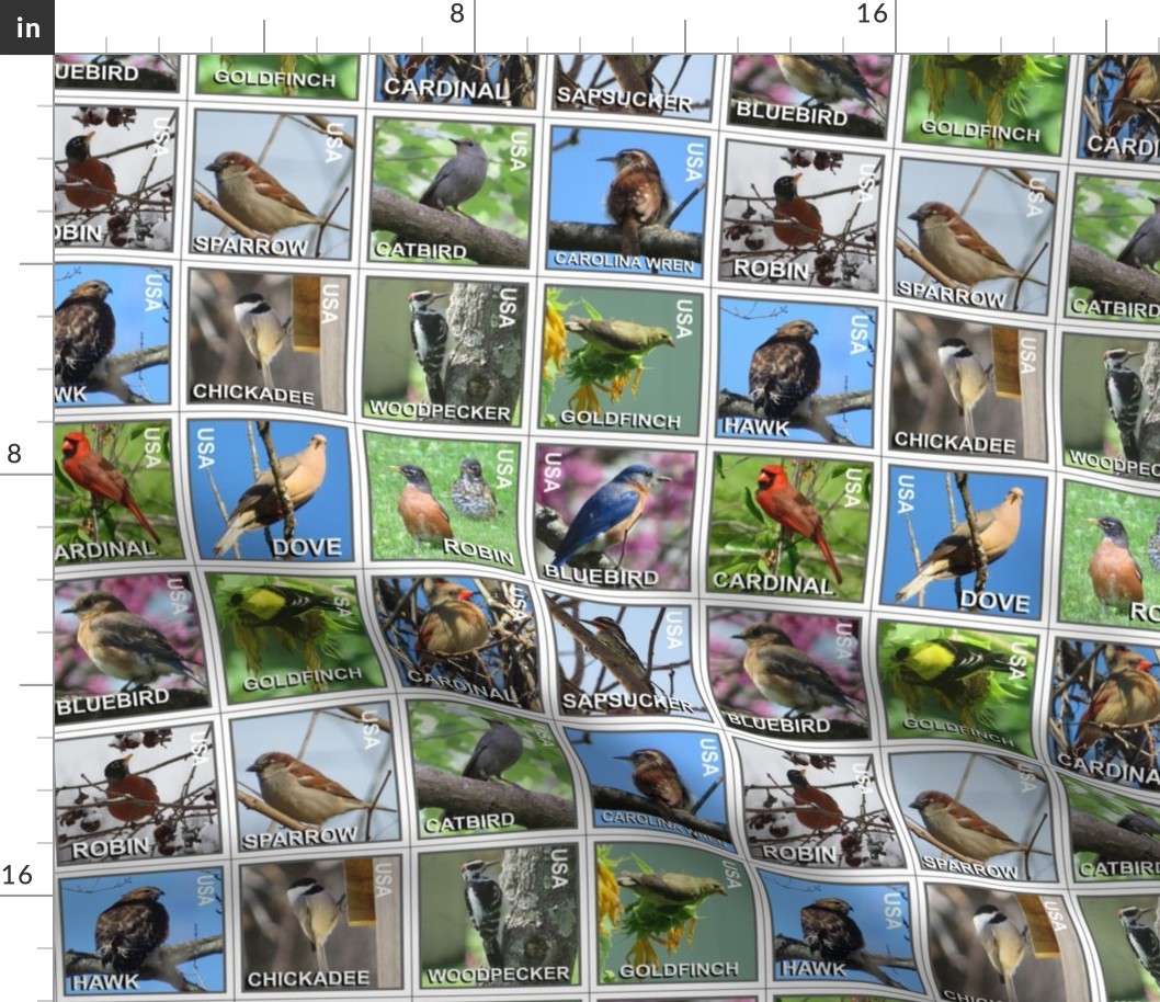 Backyard bird stamps 12x12