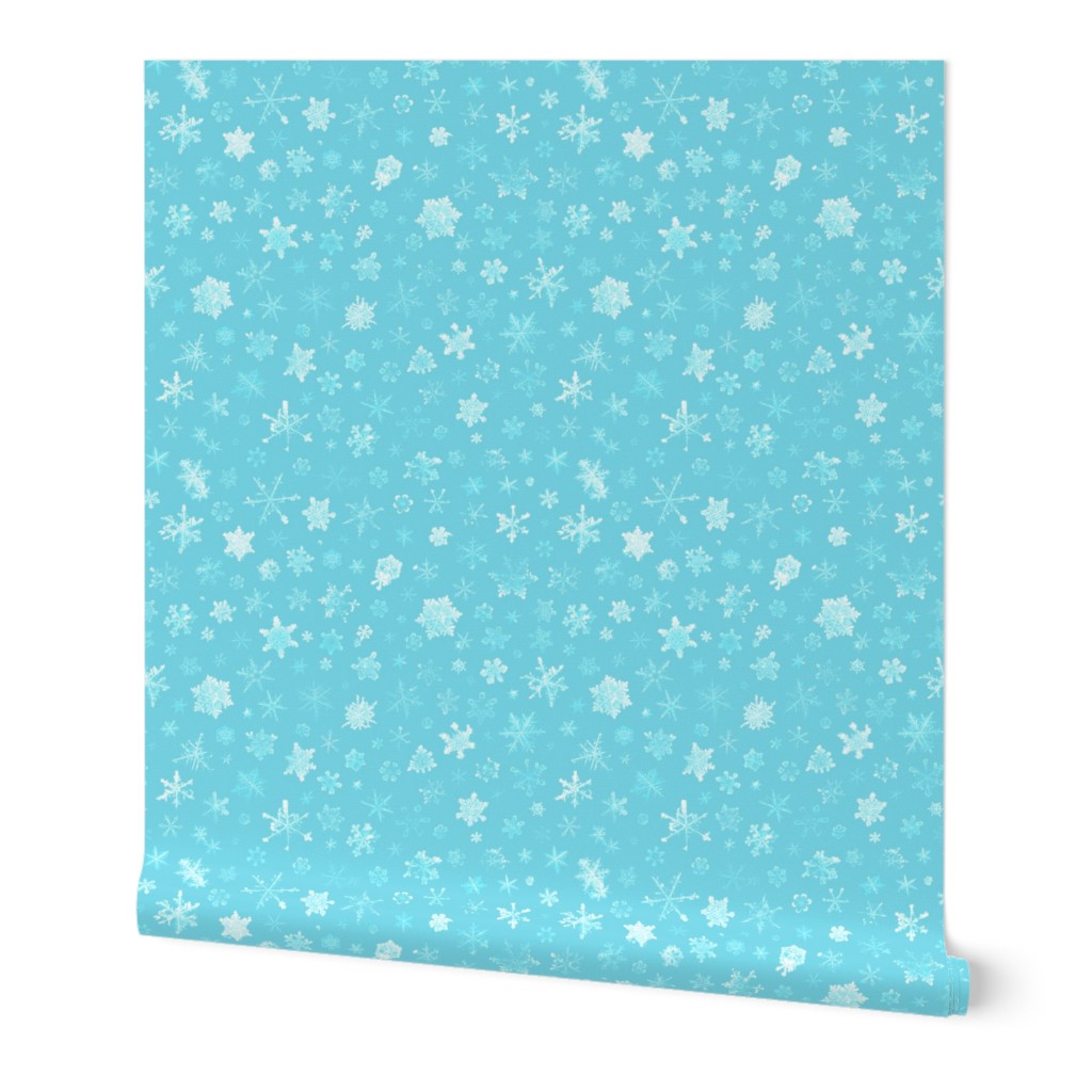 photographic snowflakes on pale cyan (large snowflakes)