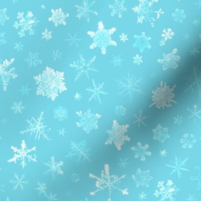 photographic snowflakes on pale cyan (large snowflakes)