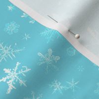 photographic snowflakes on pale cyan (large snowflakes)