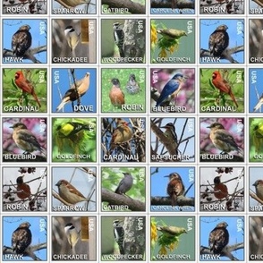 Backyard bird stamps 6x6