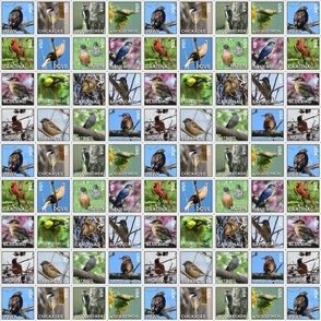 Backyard bird stamps 8x8