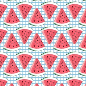 watermelon slices blue gingham pattern