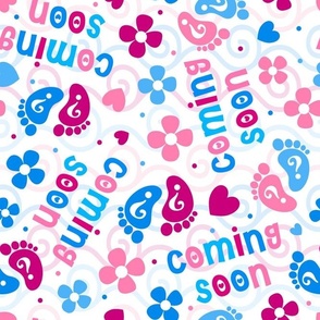 Large Scale Gender Reveal Coming Soon Pregnancy Announcement Boy or Girl Pink or Blue Baby Floral