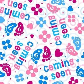 Medium Scale Gender Reveal Coming Soon Pregnancy Announcement Boy or Girl Pink or Blue Baby Floral