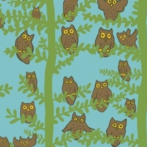Daytime Owls 