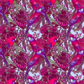 Crimson Rosella Floral Pattern No. 2