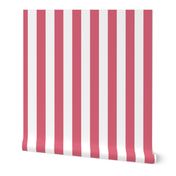 2 inch Nantucket Red and White Cabana Tent Stripes