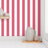 2 inch Nantucket Red and White Cabana Tent Stripes