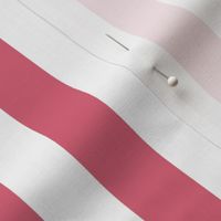 1 inch Nantucket Red and White Cabana Tent Stripes