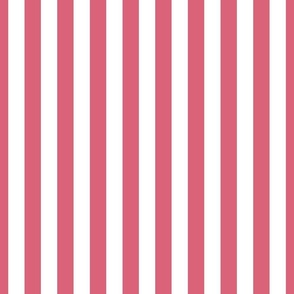 1 inch Nantucket Red and White Cabana Tent Stripes