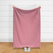 1 inch Nantucket Faded Red Cabana Tent Stripes