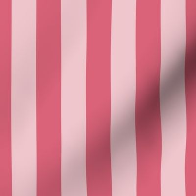 1 inch Nantucket Faded Red Cabana Tent Stripes