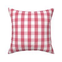 1 inch Nantucket Red Gingham Check Plaid Pattern 