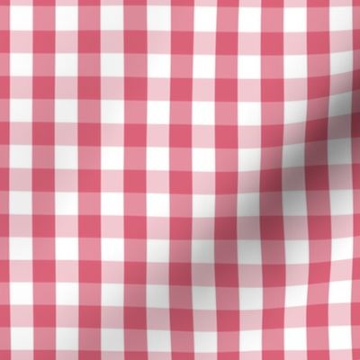 1/2 inch Nantucket Red Gingham Check Plaid Pattern 