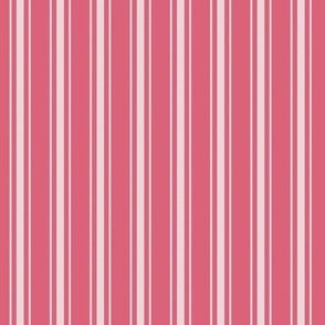 Vertical White Mattress Ticking Stripes on Nantucket Red