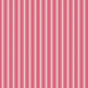 Small Vertical White Mattress Ticking Stripes on Nantucket Red