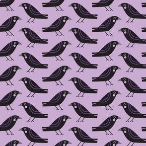 murder of crows - purple