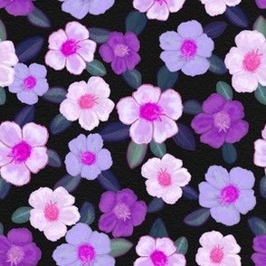 Pretty Portulaca Floral Pink Purple & Black