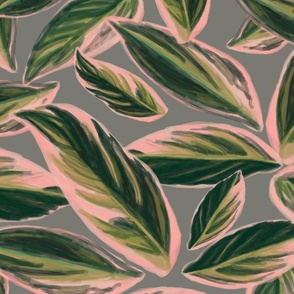 Calathea Leaves Pattern (large)