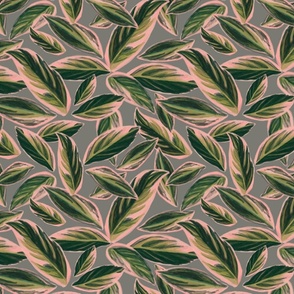 Calathea Leaves Pattern (small)