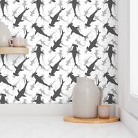 Hammerhead Sharks in Grey Silhouette Circling on White