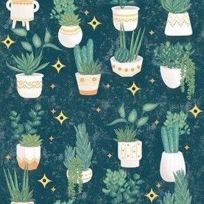 Plant lovers succulents in ceramic pots green