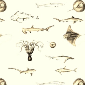 Sharks, Rays, Cephalopods and Squid in Vintage Sepia on Parchment Cream
