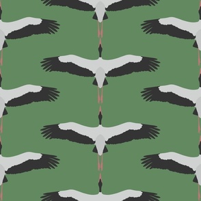 storks - green