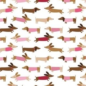 Dachshund with pink - xs