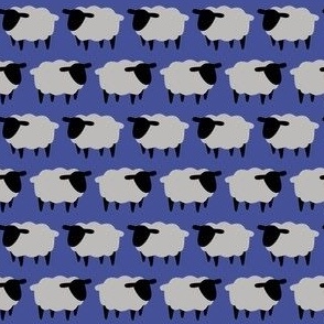 SHEEP-blue