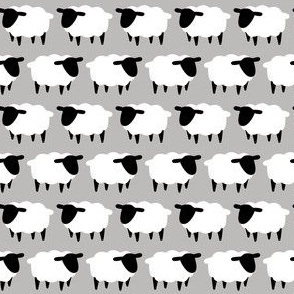 SHEEP-grey