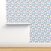 Hand Painted Colorful Polka Dots