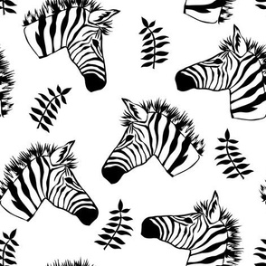 Zebra Heads in Black & White