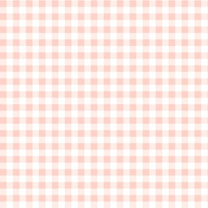 Peachy Pink Gingham