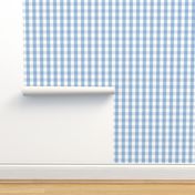 1 inch Airy Blue Gingham Check